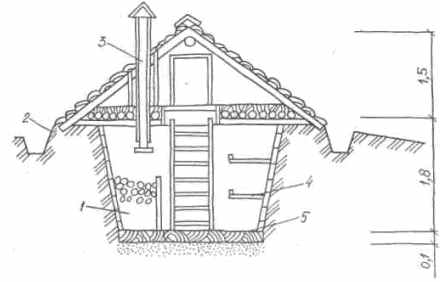 Как построить подвал в деревянном доме?